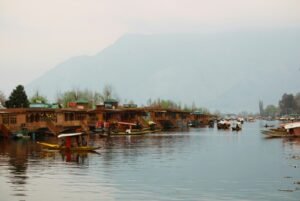 a body of water filled with lots of boats
