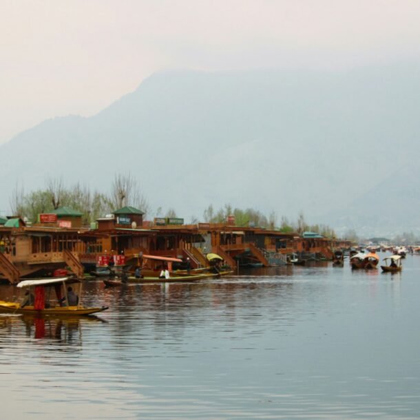 a body of water filled with lots of boats